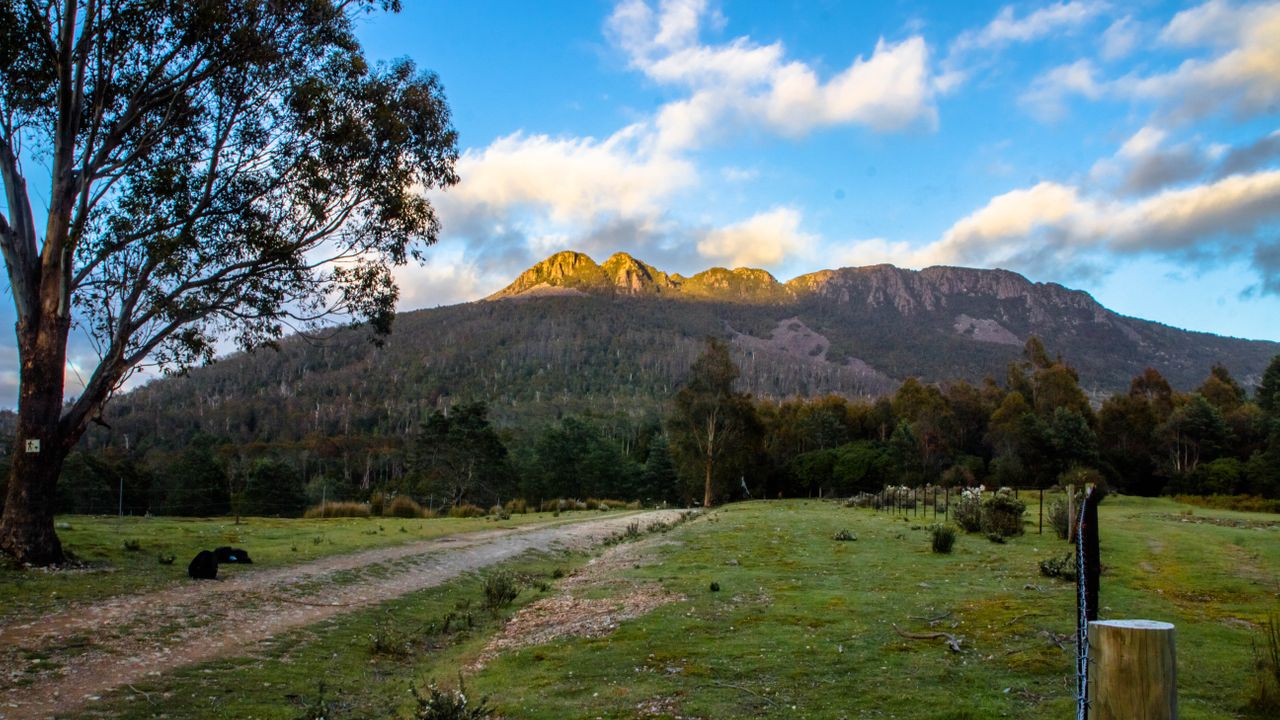 Tasmanian Trail image 2