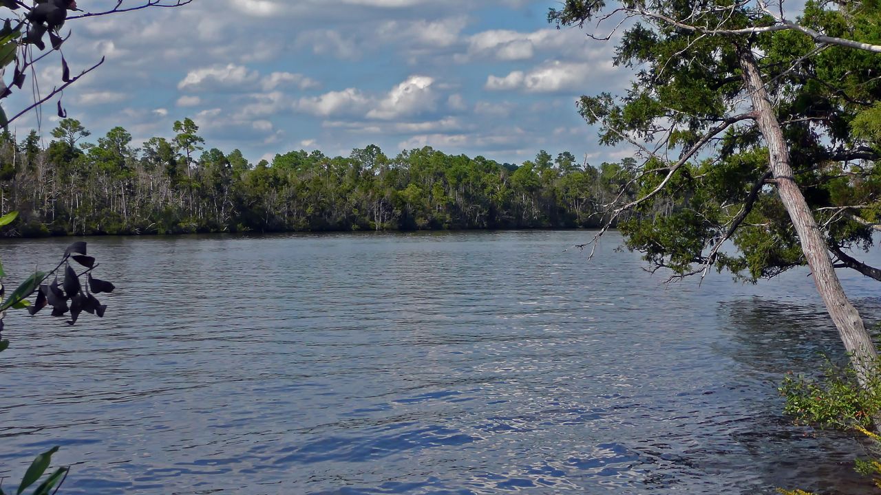 Florida National Scenic Trail - Blackwater image 1