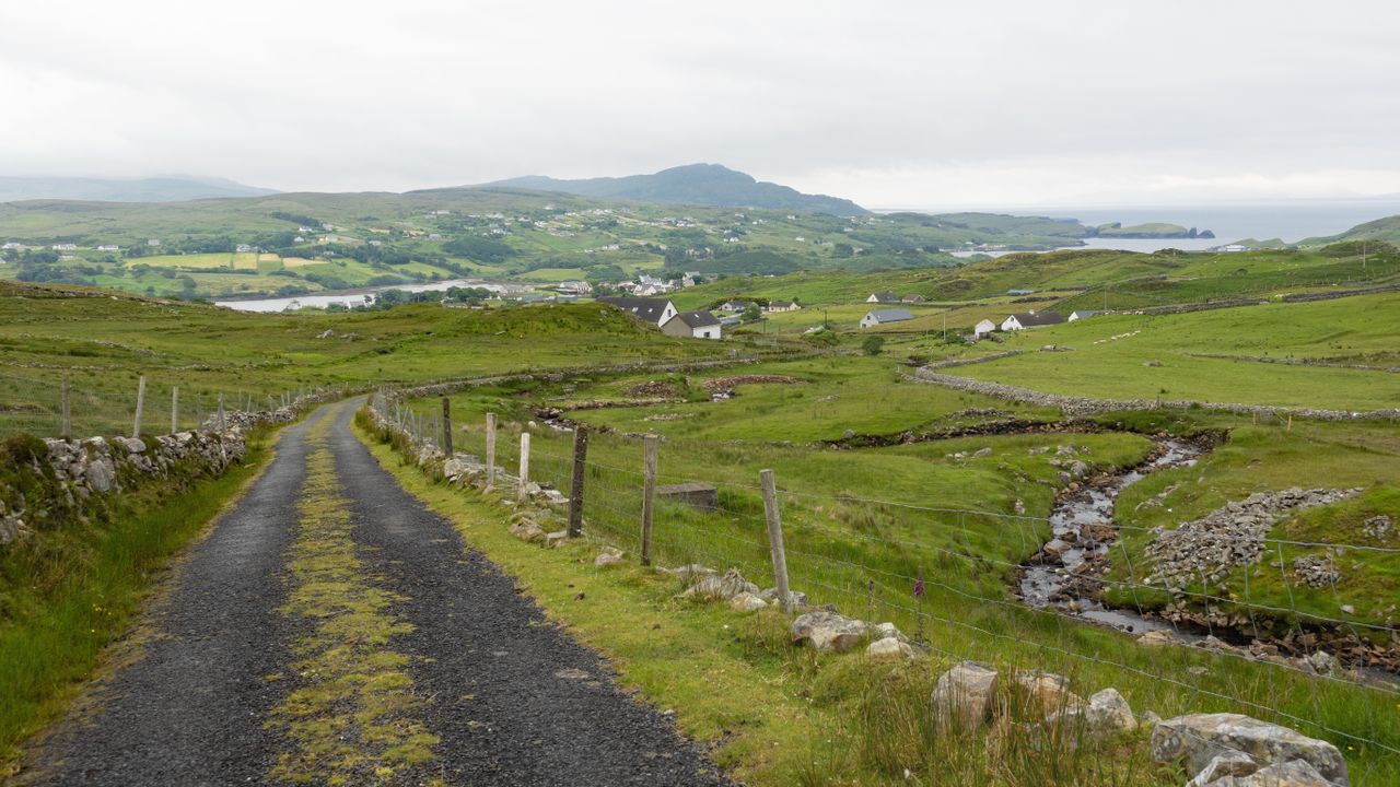 Pilgrims Road to Clonmacnoise image 1