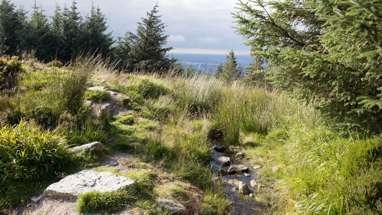 Cruagh - Mountain Access Route image 1