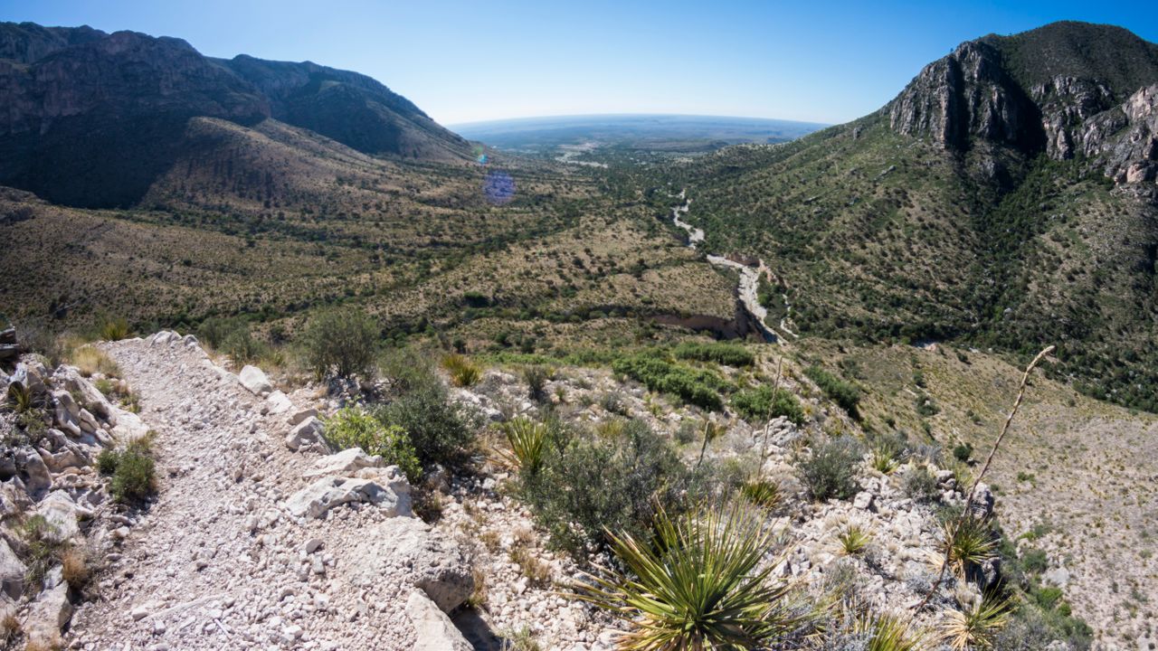 Guadalupe Canyon and Peak image 3