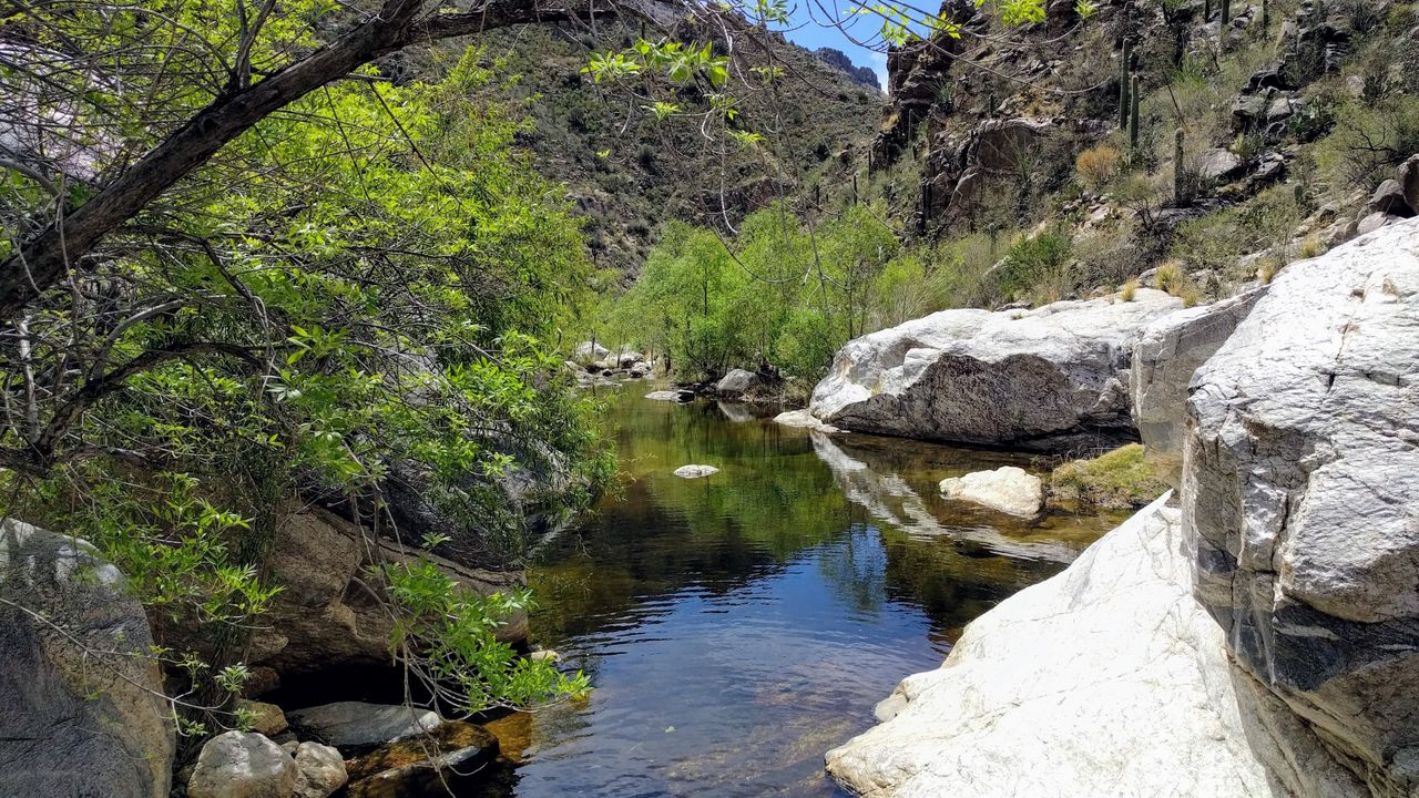 Arizona Trail image 1