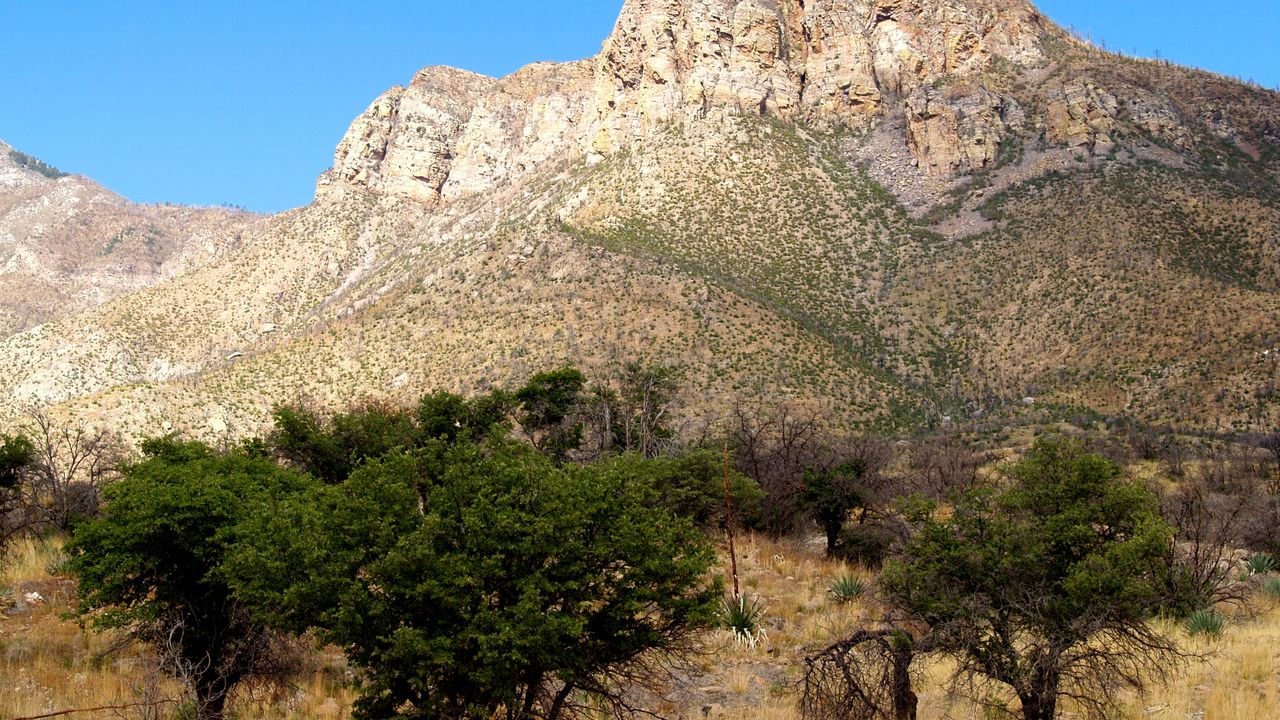 Arizona Trail image 2